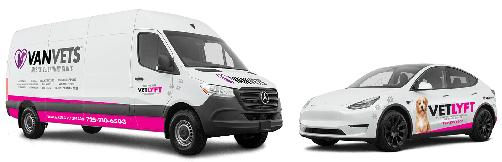 VanVets mobile veterinary clinic