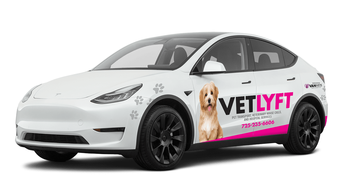 The van used to offer mobile vet services in Las Vegas and Henderson, NV