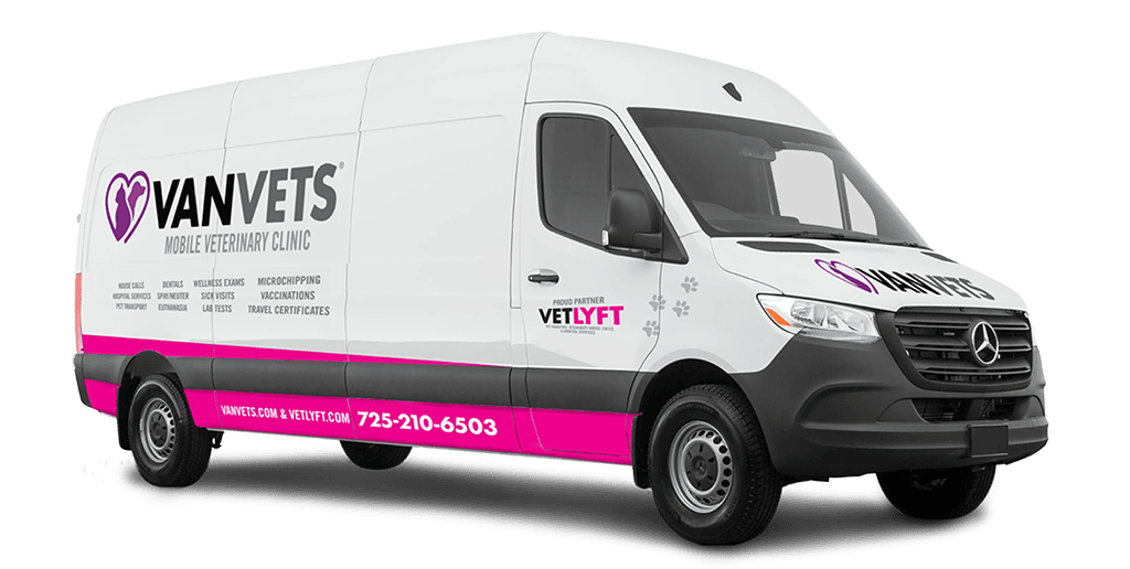 veterinary services mobile veterinarian near me