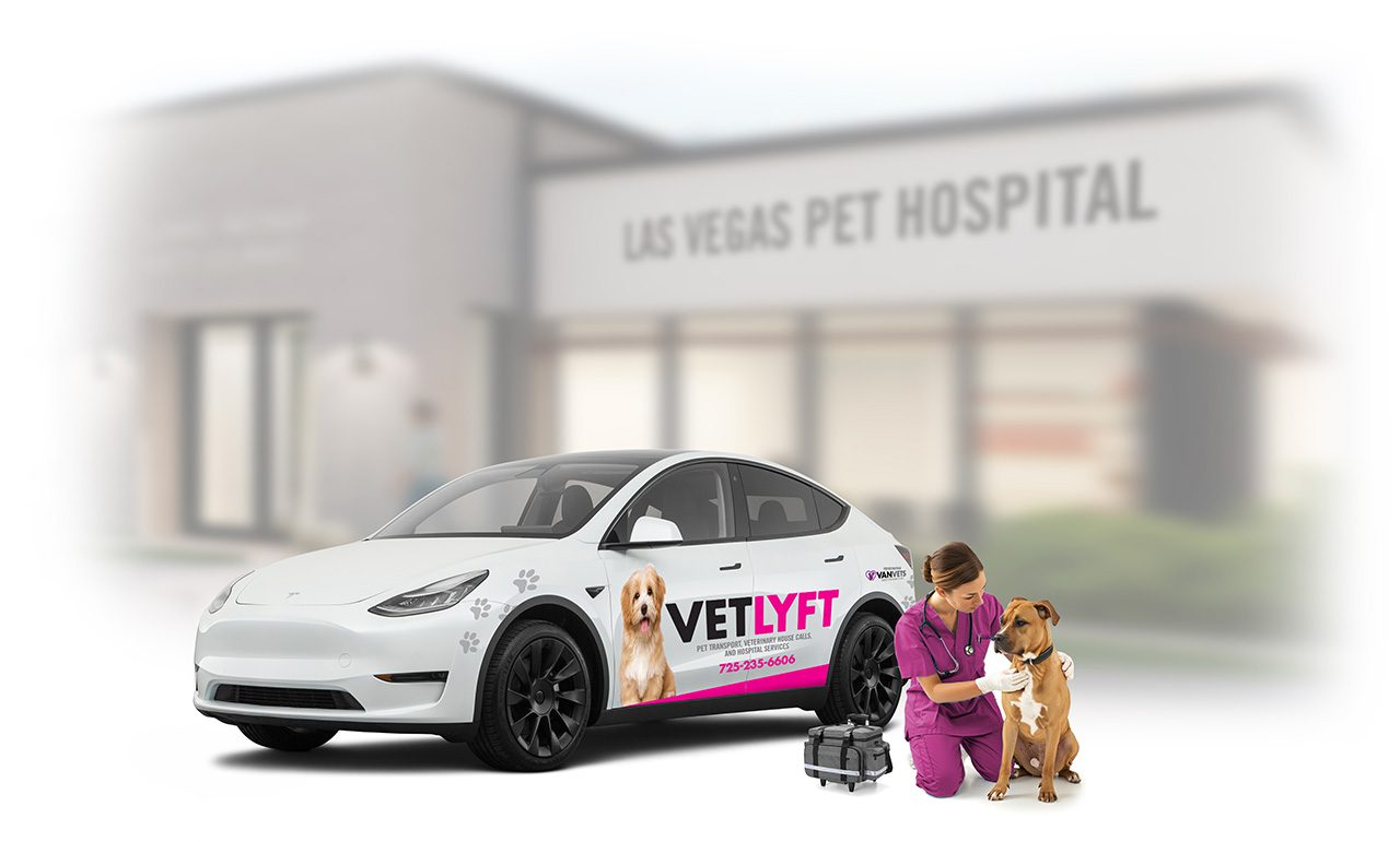 VETLYFT mobile paw transport vehicle and vet in front of hospital