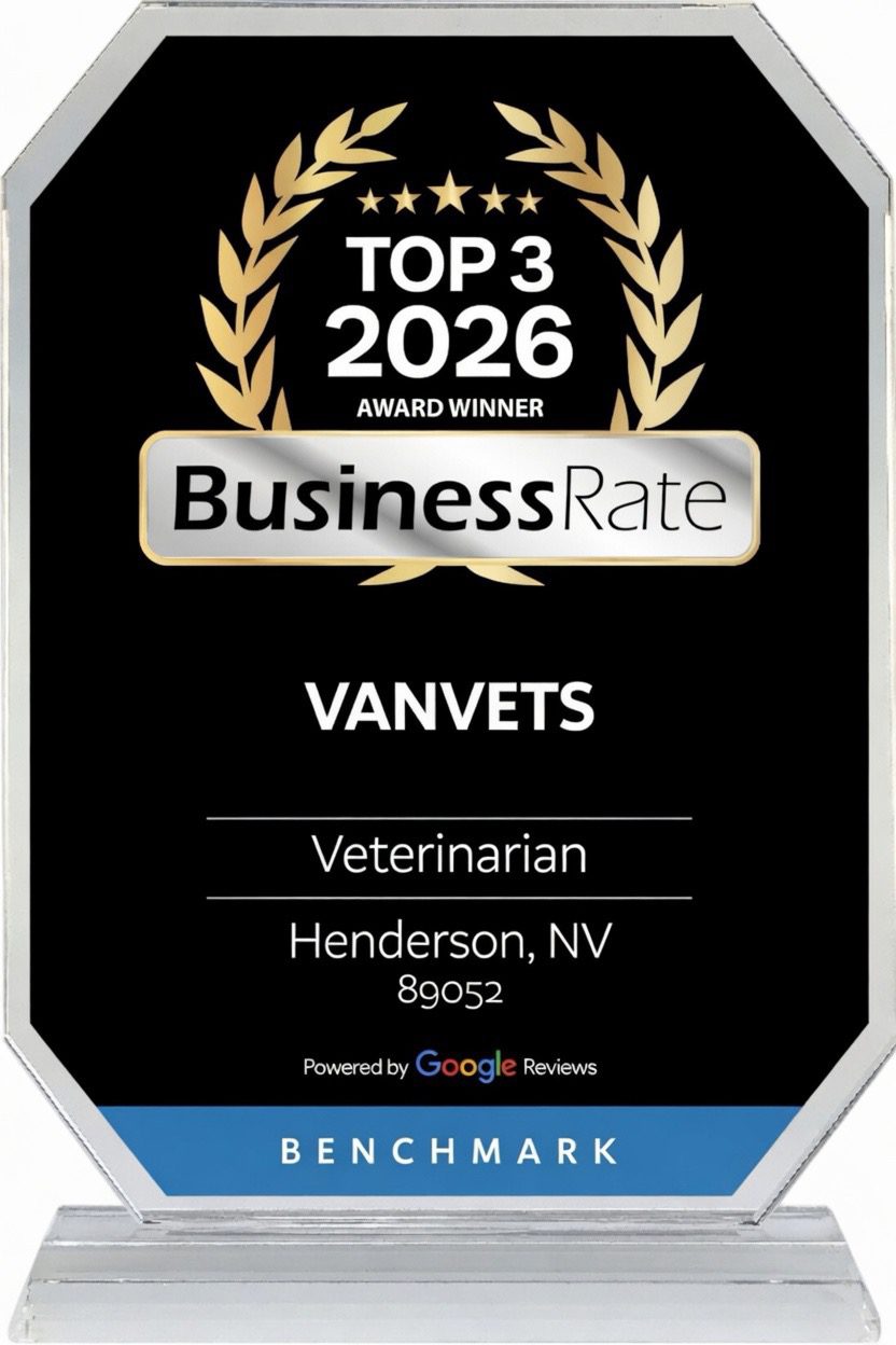 VANVETS Top 3 2026 Award Winner Business Rate recognized VANVETS as a Top 3 Award Winner in 2026